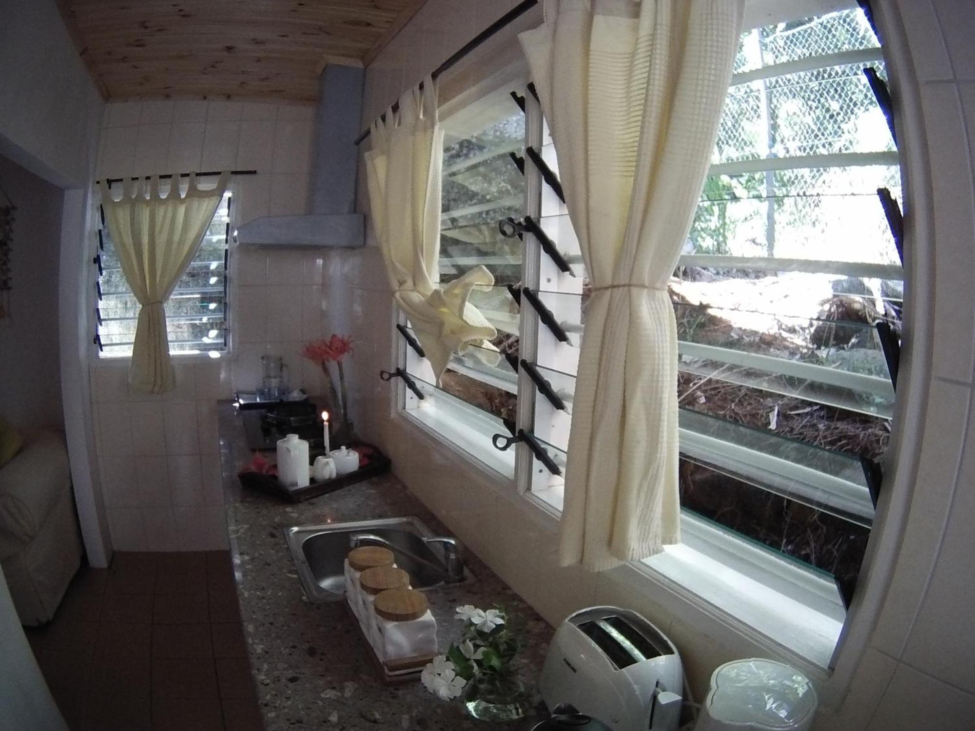Kokogrove Anse Royale