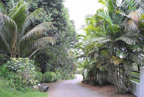 Chalet Kokogrove Anse Royale