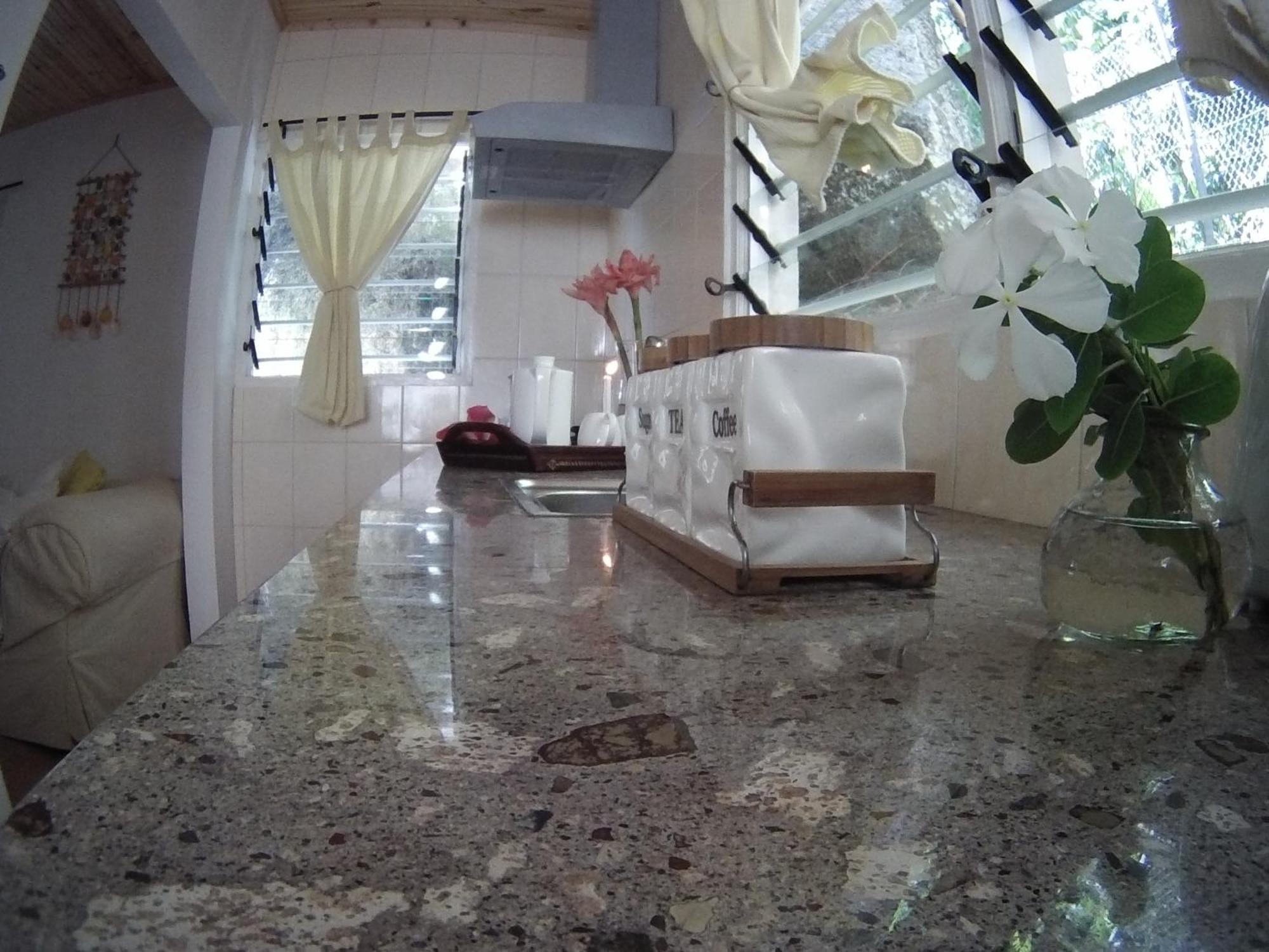 Chalet Kokogrove Anse Royale