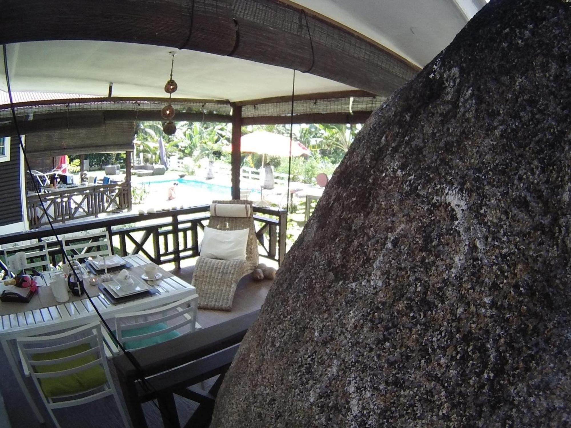 Kokogrove